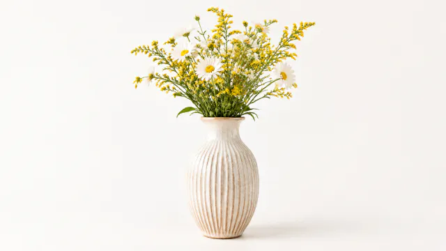 Vase isolated on a plain light background