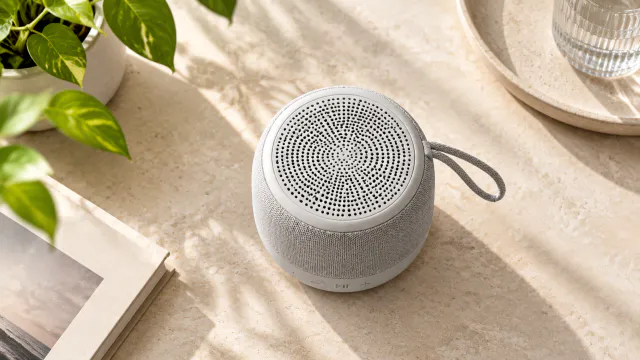 Top view of the wireless speaker with simple controls