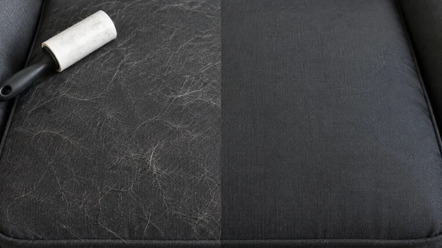 Cushion with pet hair on one side and a clean lint-rolled finish on the other.