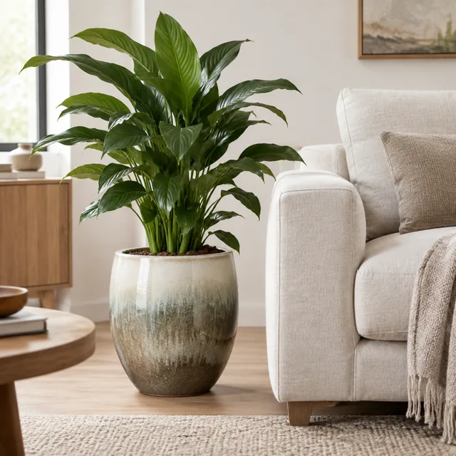 Ceramic planter beside a linen sofa.