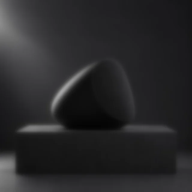 Compact black egg-shaped speaker softened so its grille and controls are hard to inspect.