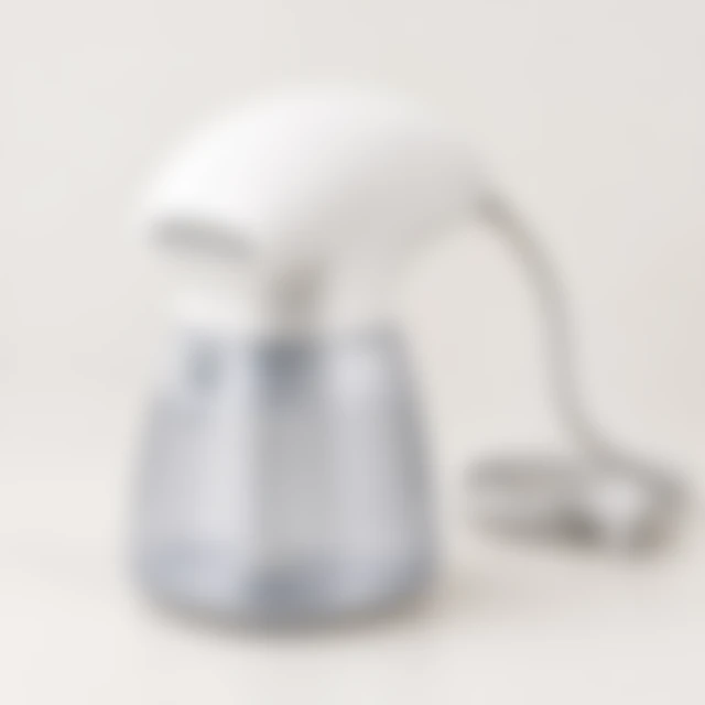 White handheld garment steamer softened so its controls are hard to inspect.
